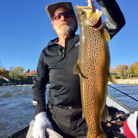 Meet your Posher, John - Picture 1 of 1